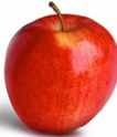 Buckeye Gala Apple