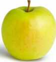 Golden Delicious Apple