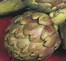 Green Globe Artichoke