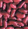 Kidney
        bean