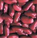 Kidney
        bean