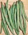 Top Crop
        bean