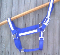 Draft Horse Halter