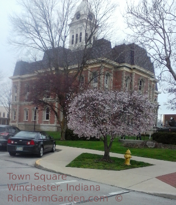 Randolph county Court House