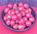 Debaro Red Russian
        Plum tomato