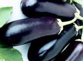 Ichiban purple long
          eggplant