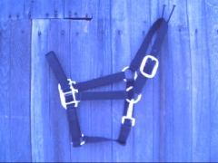 Nylon Halter - horse