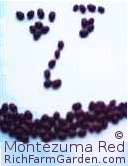 Montezuma Red Bean