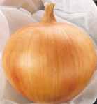 Candy Onion