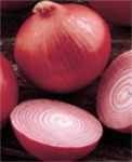 Mars Onion
