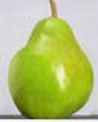 Comice Pear fruit