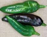 Anaheim
        Chiles