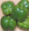 California Wonder sweet bell pepper