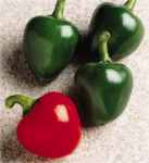 Cherry bomb pepper