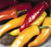 Hungarian Hot Wax Chile Banana pepper