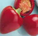 Pimiento
        pepper