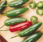 Serrano
        Chile pepper