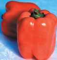 Valencia pepper