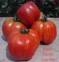 Schimmeig Striped Hollow tomato