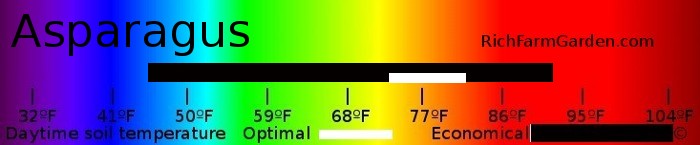 Graph of soil
        temperatures for planting Asparagus seeds