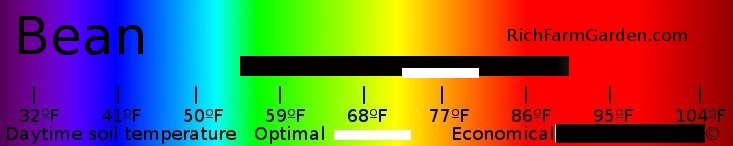 Soil Temperature
        for planting bean seeds