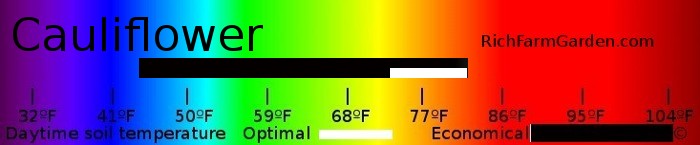 Graph of soil
        tempertaures for planting cauliflower seeds