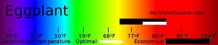 Graph of soil
          tempertaures for planting eggplant seeds