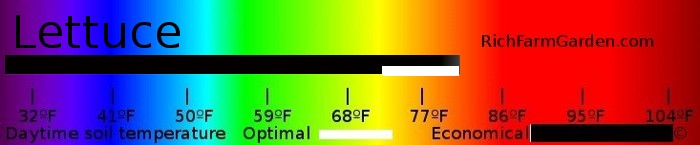 Graph of soil temperatures for planting lettuce seeds