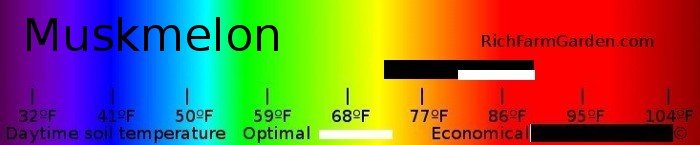 Graph of soil
        temperatures for planting muskmelon seeds