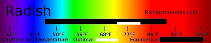 Graph of soil temperatures for planting radish seeds