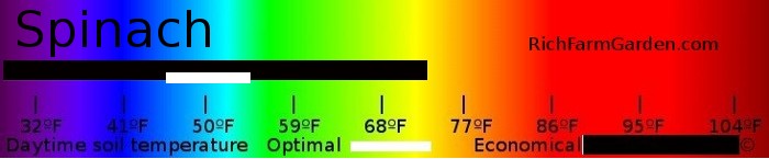 Graph of soil temperatures for planting Spinach seeds