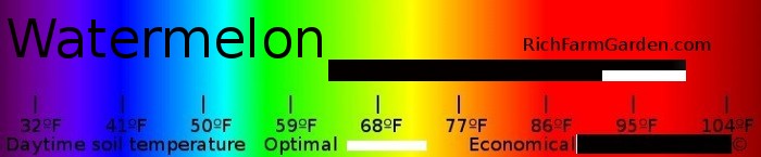 Graph of soil temperatures for planting watermelon seeds