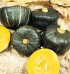 Buttercup squash