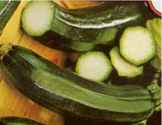 Black Zucchini squash