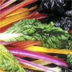 Rainbow Swiss chard