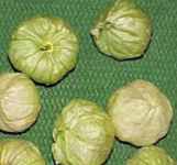 Verde tomatillo