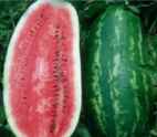 Fiesta watermelon