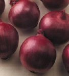 Red Zeppelin onions